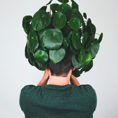 Plants Store Gallery Img 3 3