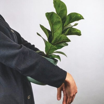 Plants Store Gallery Img 6 3